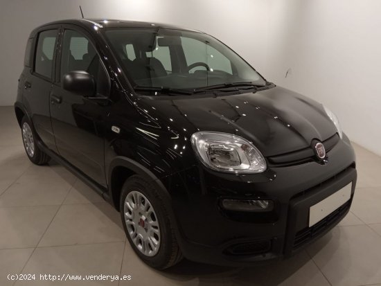 Fiat Panda Panda Hybrid 1.0 51kw (70CV) - Álava