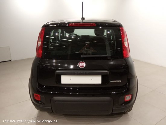 Fiat Panda Panda Hybrid 1.0 51kw (70CV) - Álava