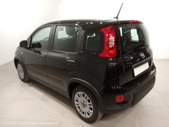 Fiat Panda Panda Hybrid 1.0 51kw (70CV) - Álava