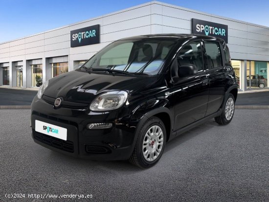  Fiat Panda Panda Urban Hybrid 1.0 51kw (70CV) - Sestao 