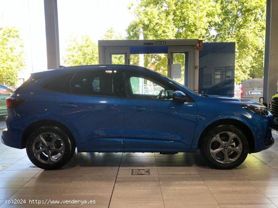 Ford Kuga ST-Line 2.5 Duratec PHEV 178kW Auto - Gasteiz