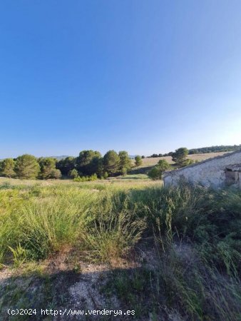 Terreno de 250.000m² edificable situado en Lorca.