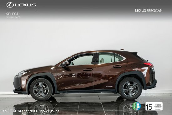 Lexus UX 250H 2WD BUSINESS NAVIGATION Lexus UX en Galicia: A Coruña, Santiago, Lugo y Pontevedra. -