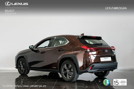 Lexus UX 250H 2WD BUSINESS NAVIGATION Lexus UX en Galicia: A Coruña, Santiago, Lugo y Pontevedra. -