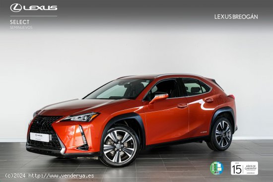  Lexus UX 250H 2WD PREMIUM Lexus UX en Galicia: A Coruña, Santiago, Lugo y Pontevedra. - A Coruña 