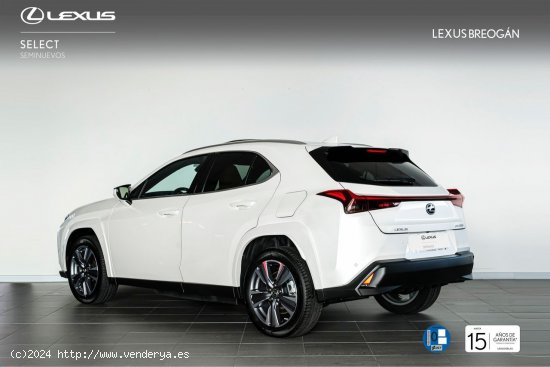 Lexus UX 300E LUXURY Lexus UX en Galicia: A Coruña, Santiago, Lugo y Pontevedra. - A Coruña