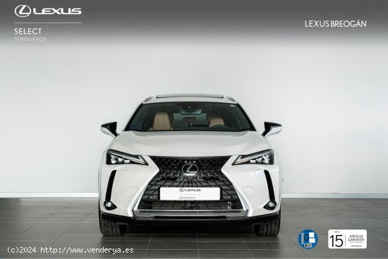 Lexus UX 300E LUXURY Lexus UX en Galicia: A Coruña, Santiago, Lugo y Pontevedra. - A Coruña