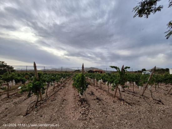 Casa de campo con terreno en Novelda - ALICANTE