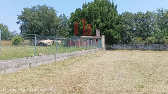 PARCELA CON PROYECTO EN LA CASTELLANA (SAN CIBRAO DAS VIÑAS - OURENSE) - ORENSE