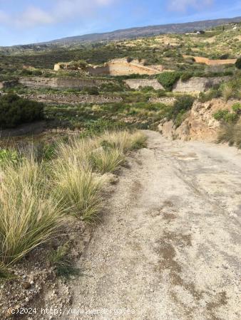 Terreno en el ESCOBONAL - SANTA CRUZ DE TENERIFE