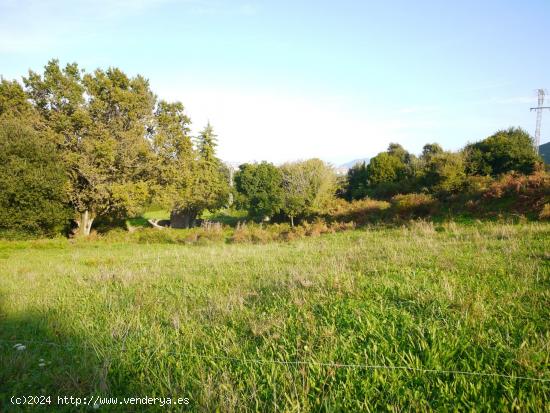 Terreno Urbano de 1.425 m2 en el casco historico de Isla - CANTABRIA