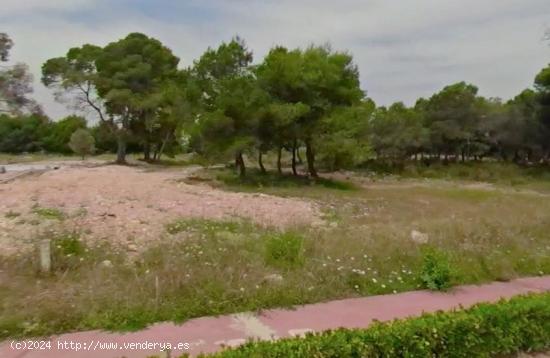  PARCELA URBANA EN URB TORRE EN CONILL SEGUNDA LINEA DE GOLF - VALENCIA 