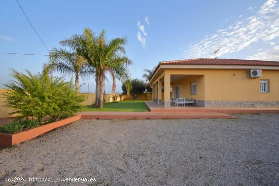 FINCA RÚSTICA CON VIVIENDA EN PLANTA BAJA EN VENTA, LA MAGDALENA - MURCIA