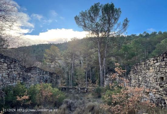 finca rústica con edificación - BARCELONA