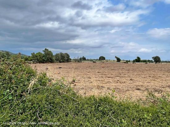 ¡¡ SE VENDE TERRENO RUSTICO URBANIZABLE EN PORRERES !! - BALEARES