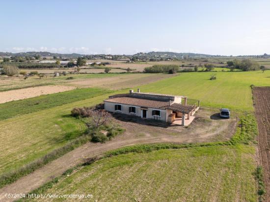  FINCA EN MONTUIRI CON VISTAS DESPEJADAS Y TERRENO LLANO CERCA DE LA CARRETERA PRINCIPAL - BALEARES 