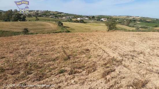 FINCA RUSTICA CON CONSTRUCCIÓN ZONA HUERTA LA MONARDA - CADIZ