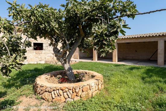 Exclusiva Finca Histórica en Palma de Mallorca - Son Gallard - BALEARES