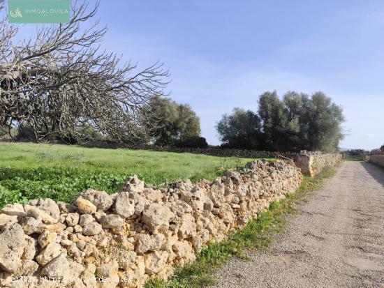 Finca Rústica edificable - BALEARES