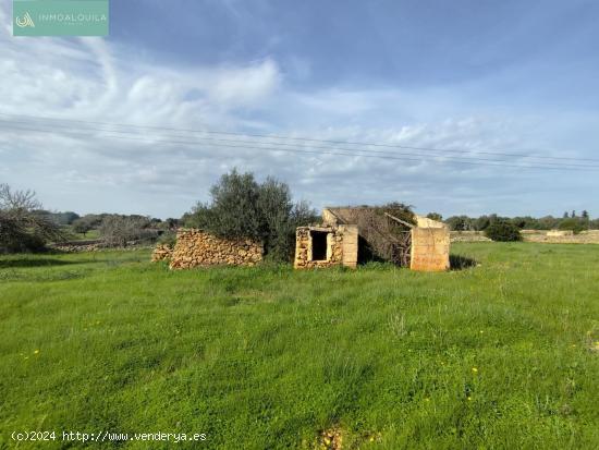 Finca Rústica edificable - BALEARES