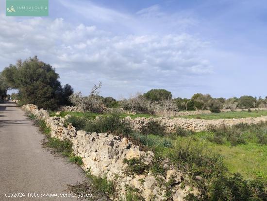 Finca Rústica edificable - BALEARES