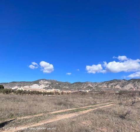  TERRENO RUSTICO 2.791M2 EN DURCAL - GRANADA 