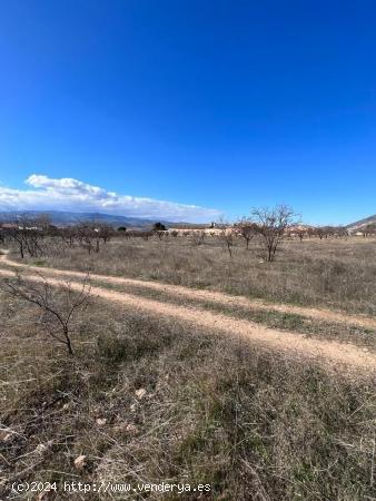 TERRENO RUSTICO 2.791M2 EN DURCAL - GRANADA