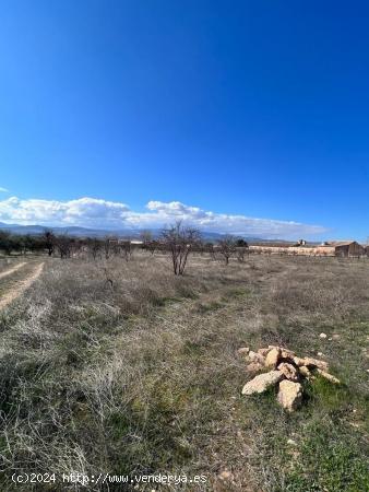 TERRENO RUSTICO 2.791M2 EN DURCAL - GRANADA