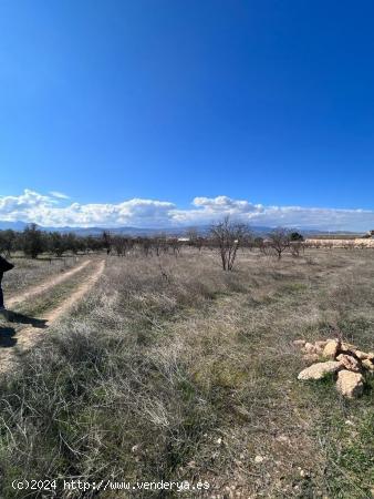 TERRENO RUSTICO 2.791M2 EN DURCAL - GRANADA