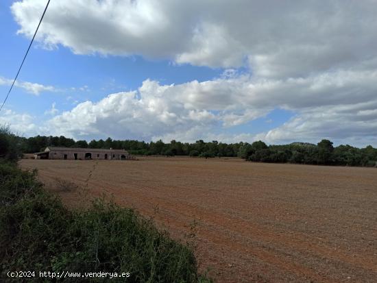  Gran finca rústica a 3 km de Porreres - BALEARES 