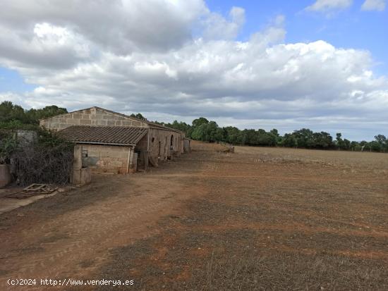 Gran finca rústica a 3 km de Porreres - BALEARES