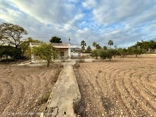 CASA DE CAMPO A 4 MINUTOS DE CREVILLENTE - ALICANTE