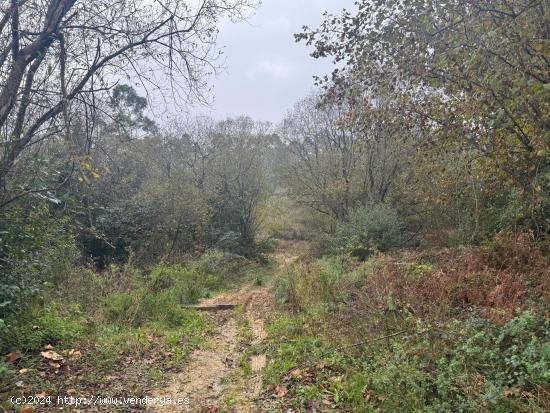 Terreno rural en Sopela, cer ca del garden center camino de Umbe - VIZCAYA