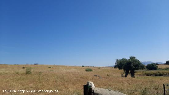 Finca ganadera de 15 hectáreas en Garrovillas - CACERES