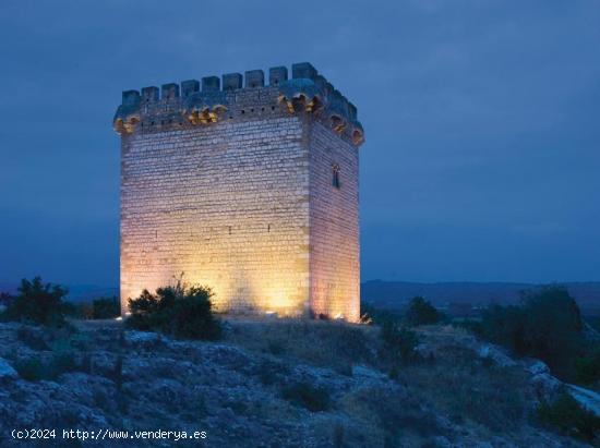 FINCA RUSTICA EN VENTA AMPOSTA - LA CARROBA - TARRAGONA