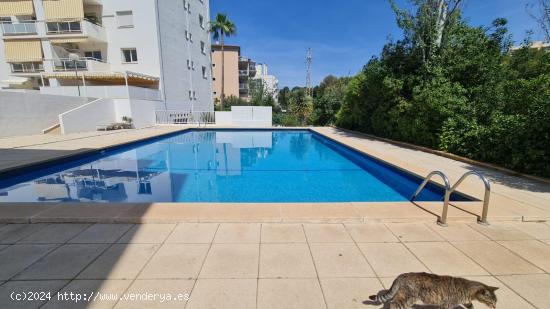 Se Vende en Palma de Mallorca - BALEARES