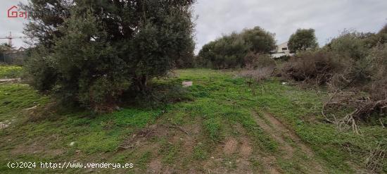  TERRENO URBANO EN ESTEPONA - MALAGA 