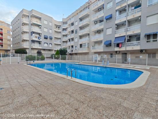  Se vende piso en Torrevieja con piscina comunitaria - ALICANTE 