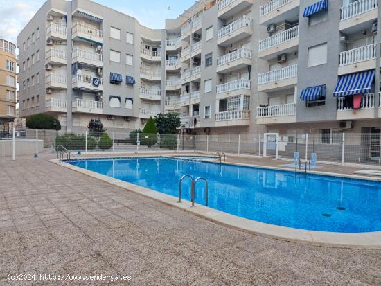 Se vende piso en Torrevieja con piscina comunitaria - ALICANTE