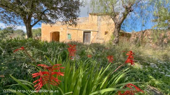  Finca para reformar con ambiente rural - BALEARES 