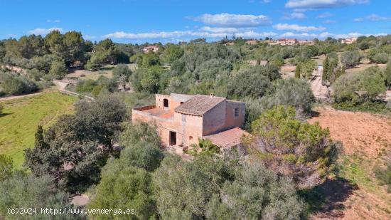 Finca para reformar con ambiente rural - BALEARES