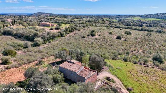 Finca para reformar con ambiente rural - BALEARES