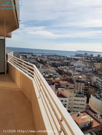 Piso de una habitación en el hotel Riscal - ALICANTE