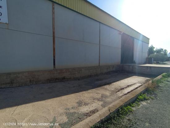 NAVE INDUSTRIAL EN ALQUILER JUNTO A PUERTO LUMBRERAS - MURCIA