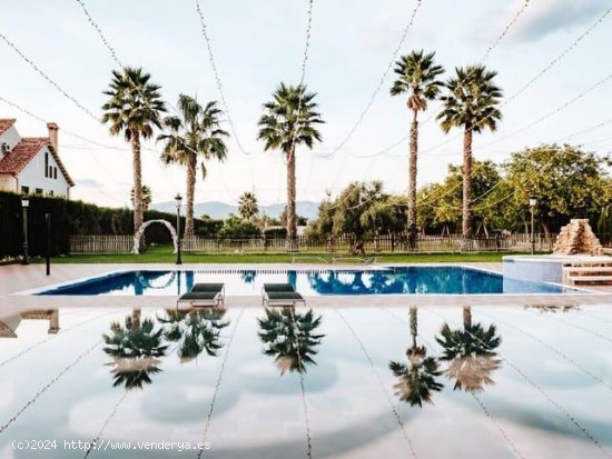  Villa en alquiler en Catral (Alicante) 