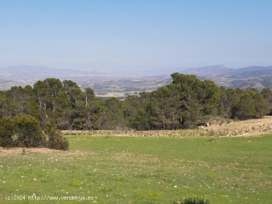  Parcela para construcción de vivienda en La Parroquia, en plena naturaleza - MURCIA 