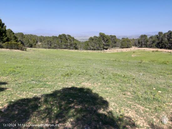 Parcela para construcción de vivienda en La Parroquia, en plena naturaleza - MURCIA