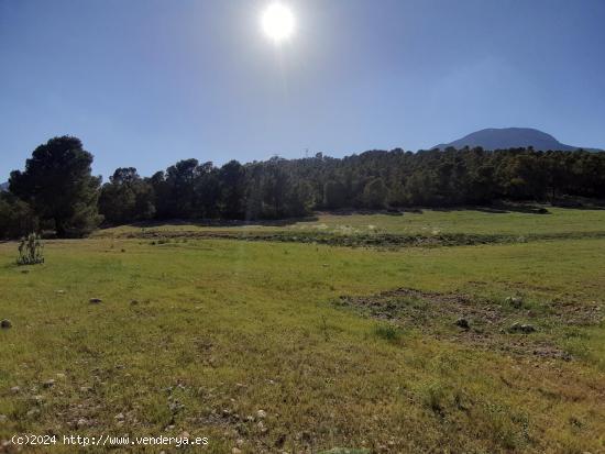 Parcela para construcción de vivienda en La Parroquia, en plena naturaleza - MURCIA