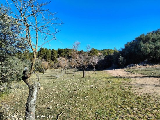 Casa en venta en Horta de Sant Joan (Tarragona)