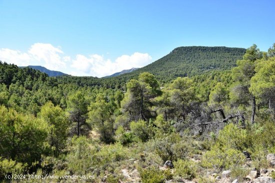 Finca en venta en Valderrobres (Teruel)